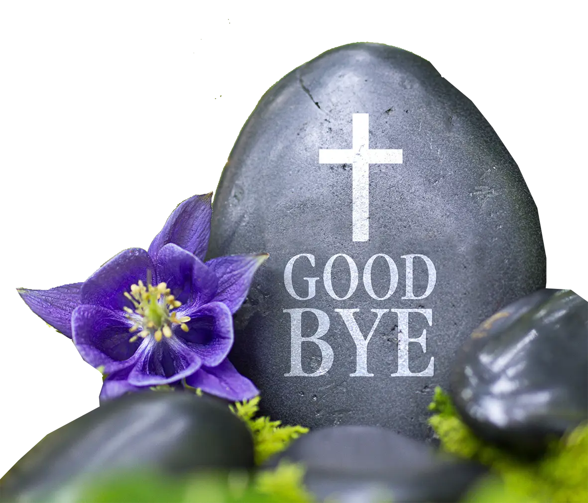 Goodbye Text on Stone