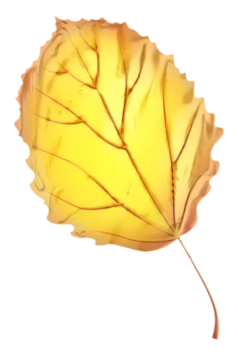 Golden Leaf Illustration Signifying Autumn