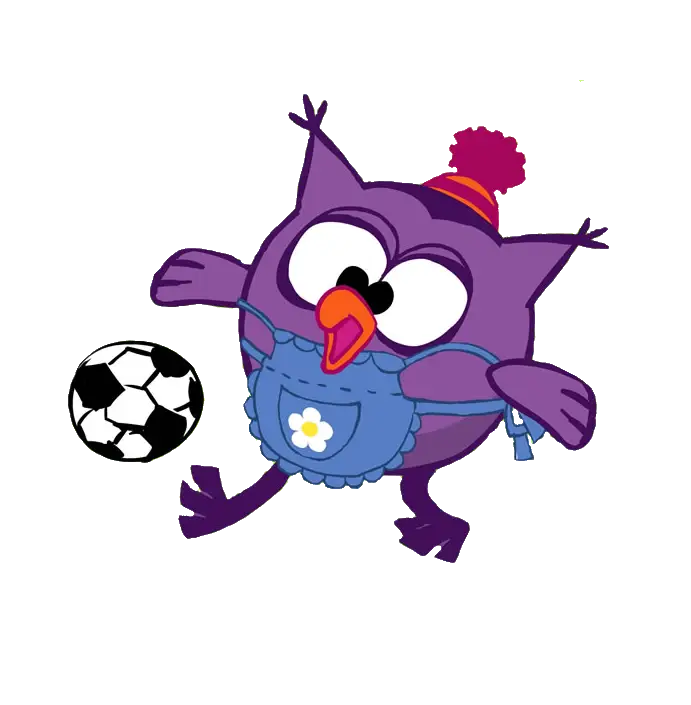 Cute Cartoon Owl Playing Football