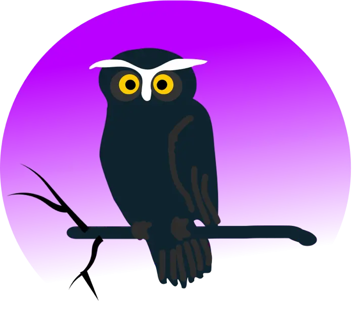 Cartoon Owl Perched on a Branch