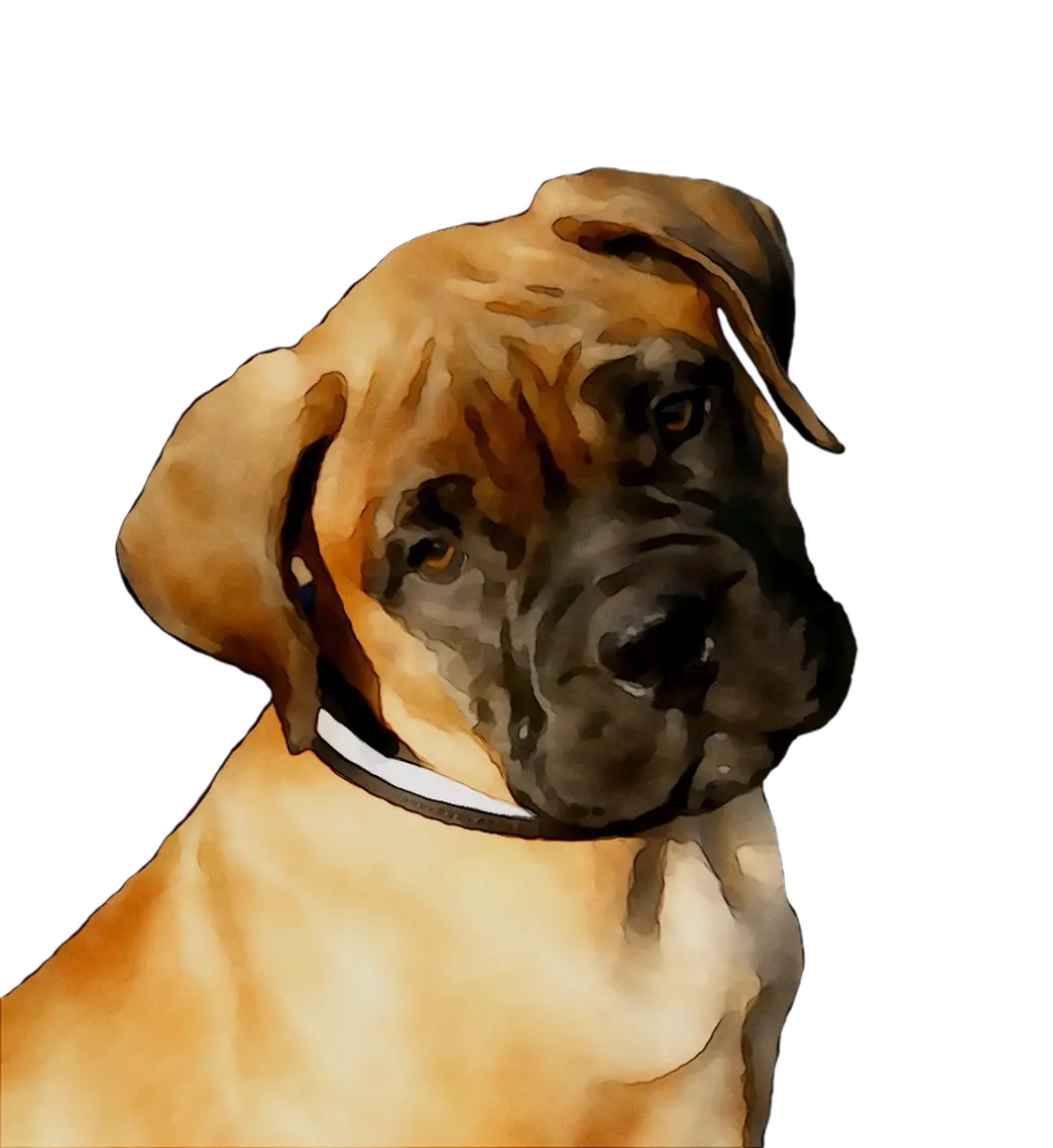 Portrait of a Brown Dog