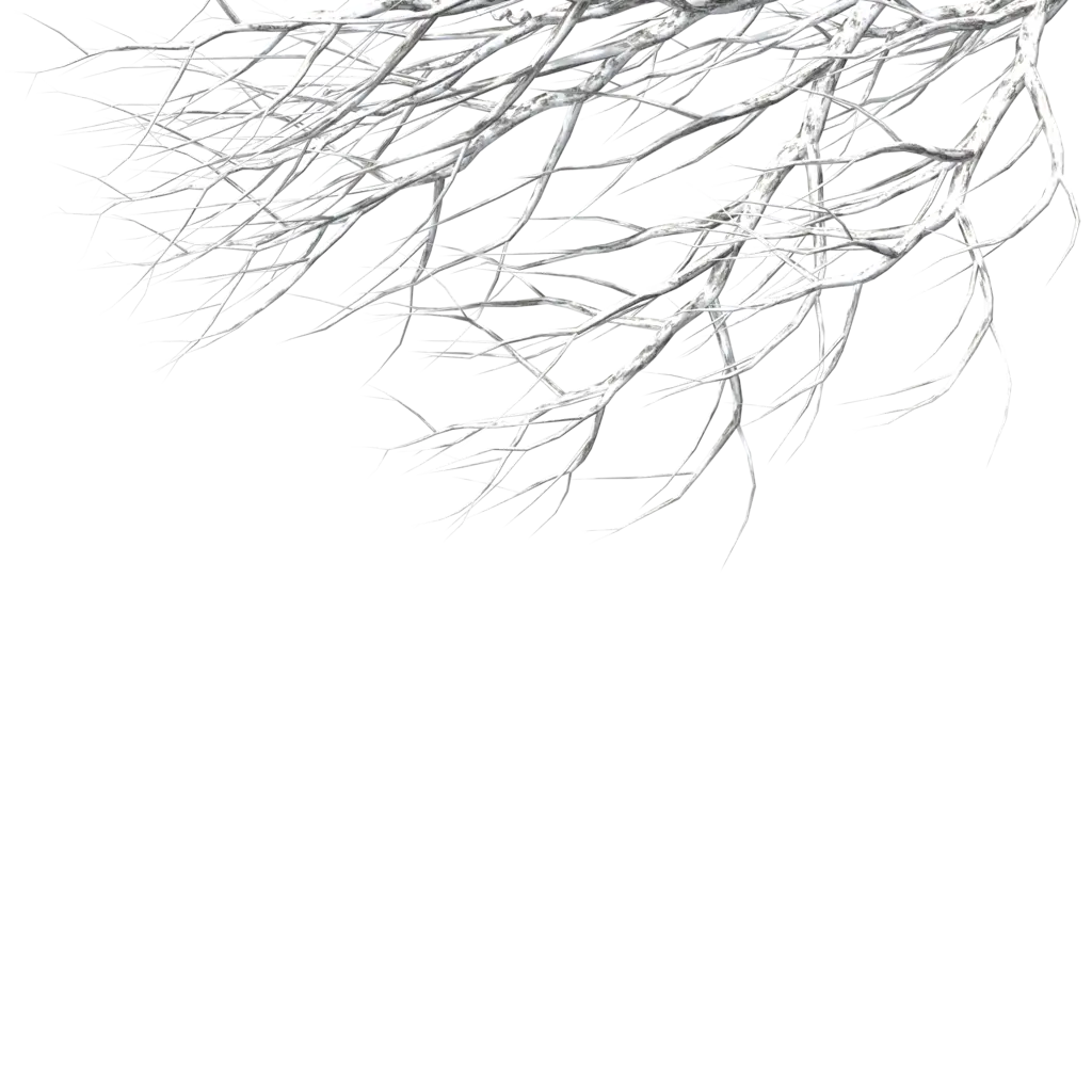 Bare Tree Branches in Winter