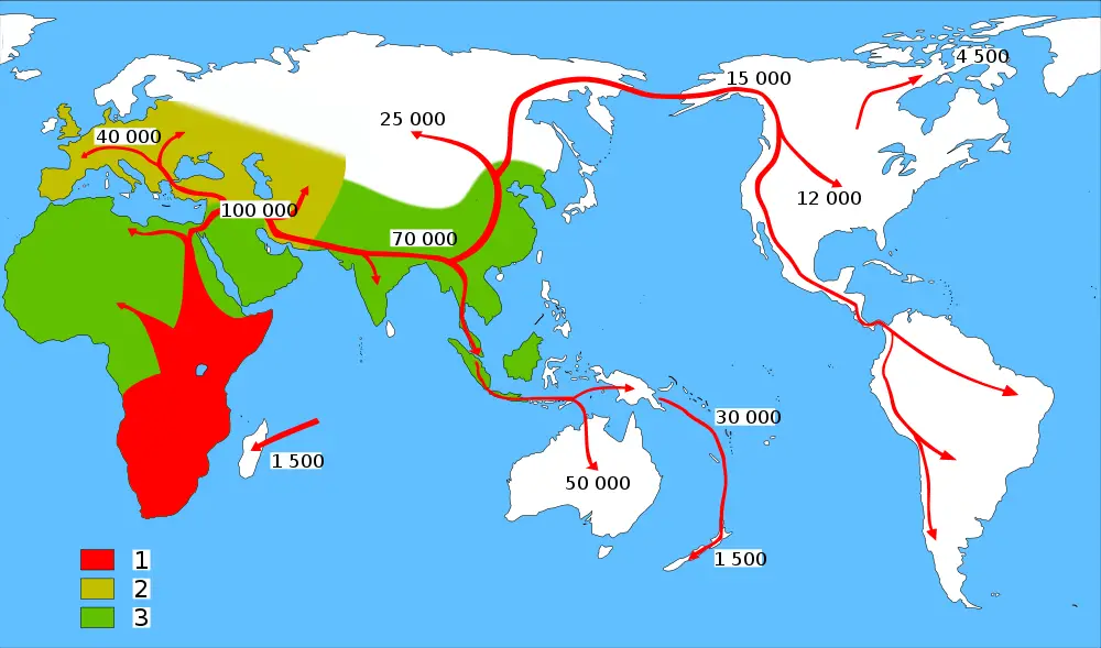 Human Migration Routes on World Map