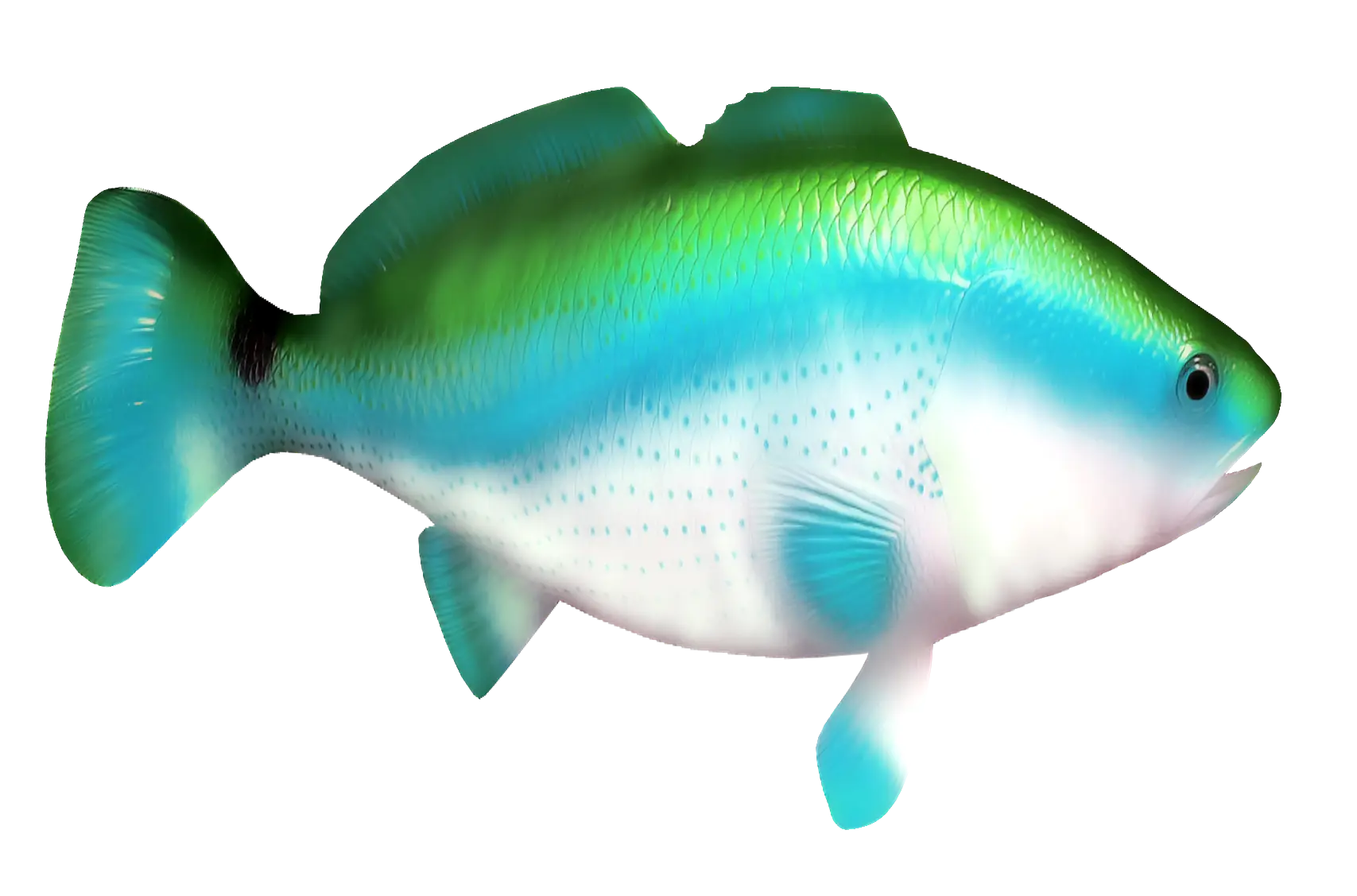 Blue-Green Fish Illustration