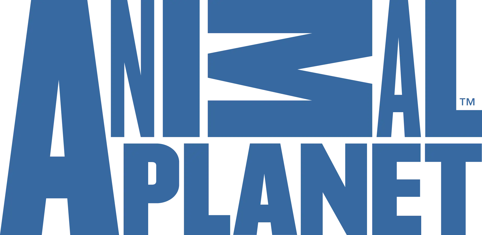 Animal Planet Logo for Wildlife Channel