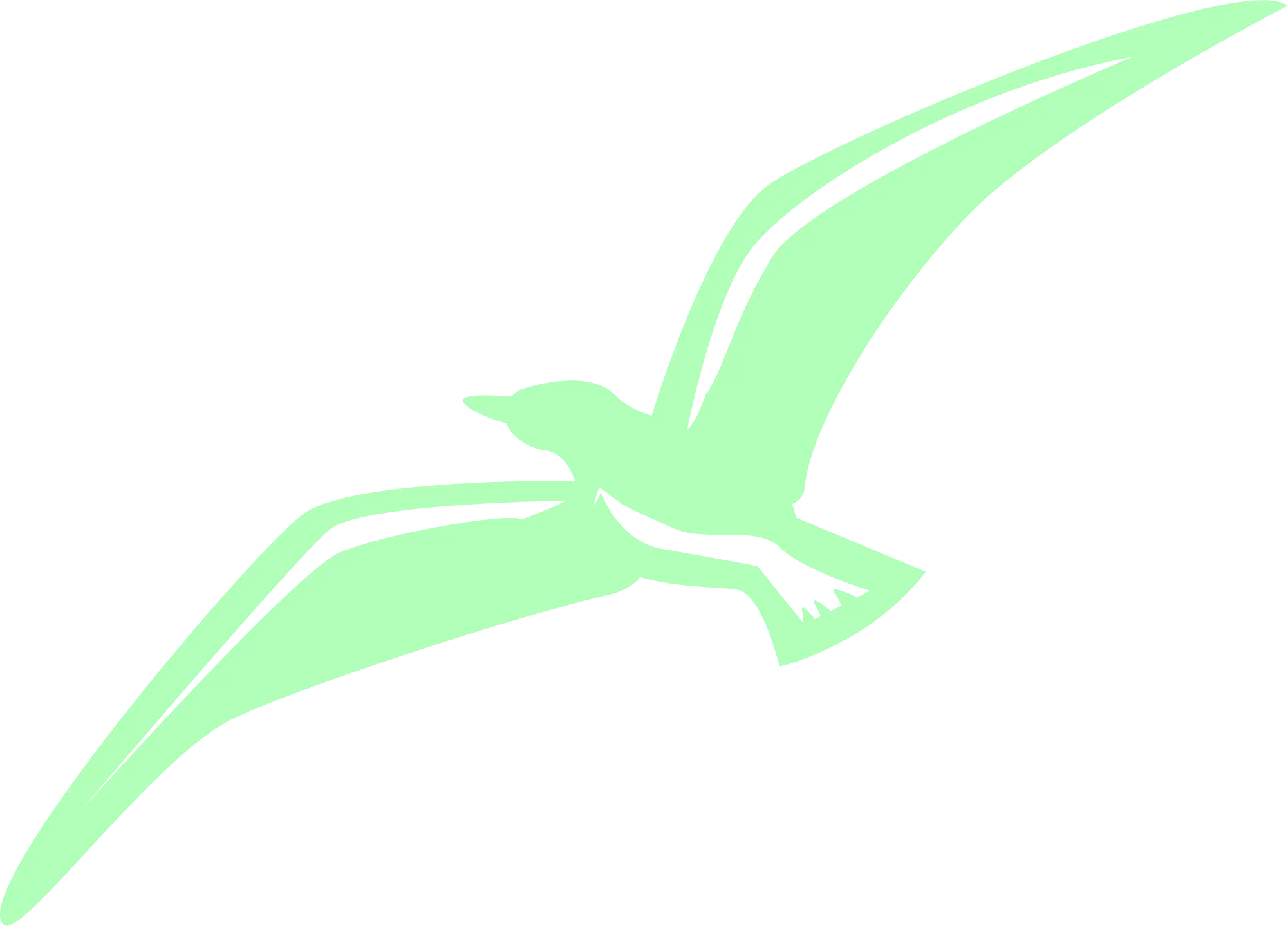 Green Bird Silhouette Illustration