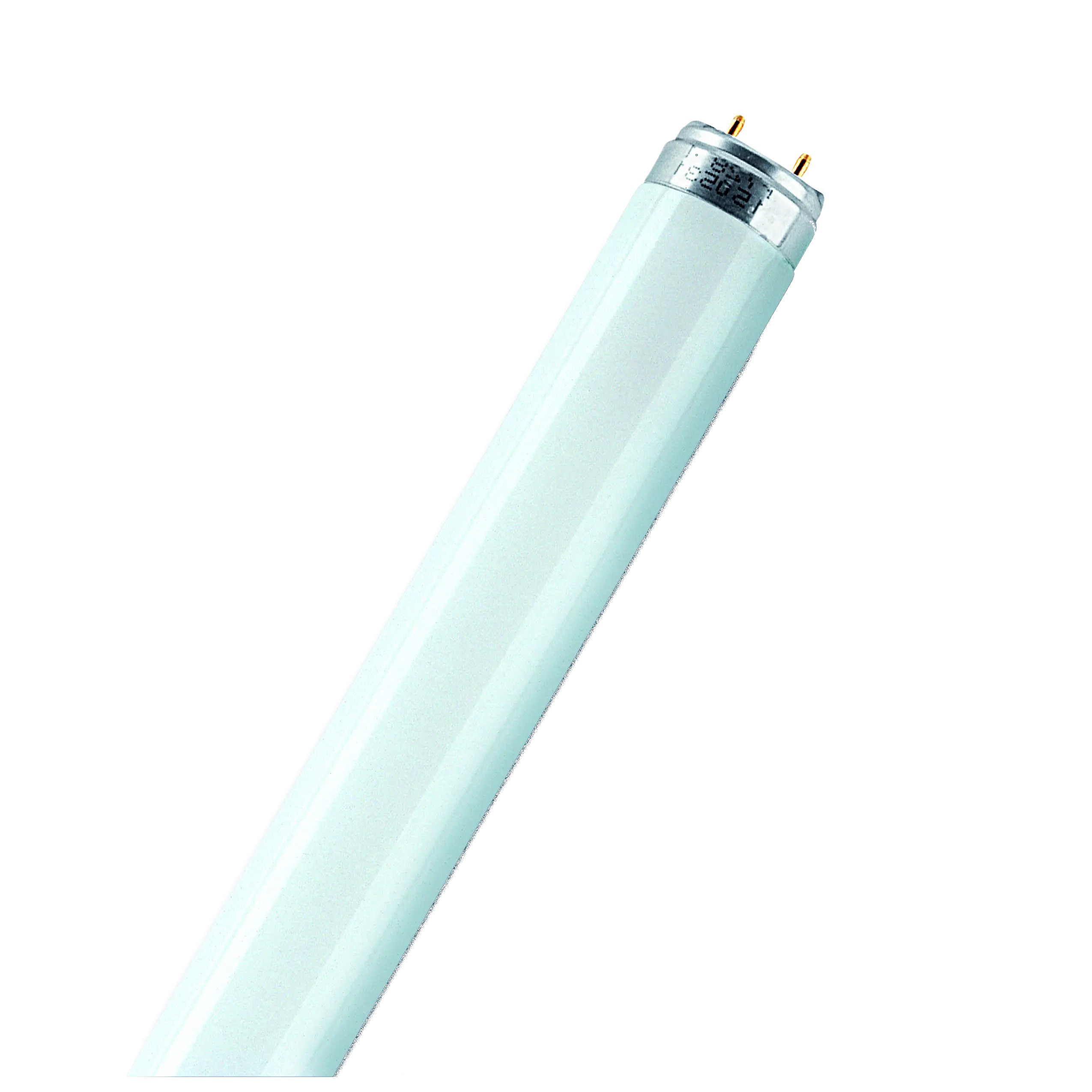 White Fluorescent Tube Light