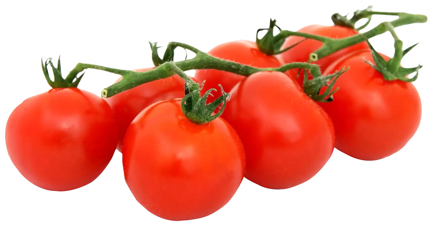Fresh Vine Tomatoes Cluster for Cooking