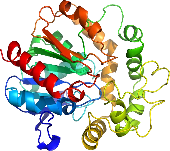 Colored Protein Structure Illustration