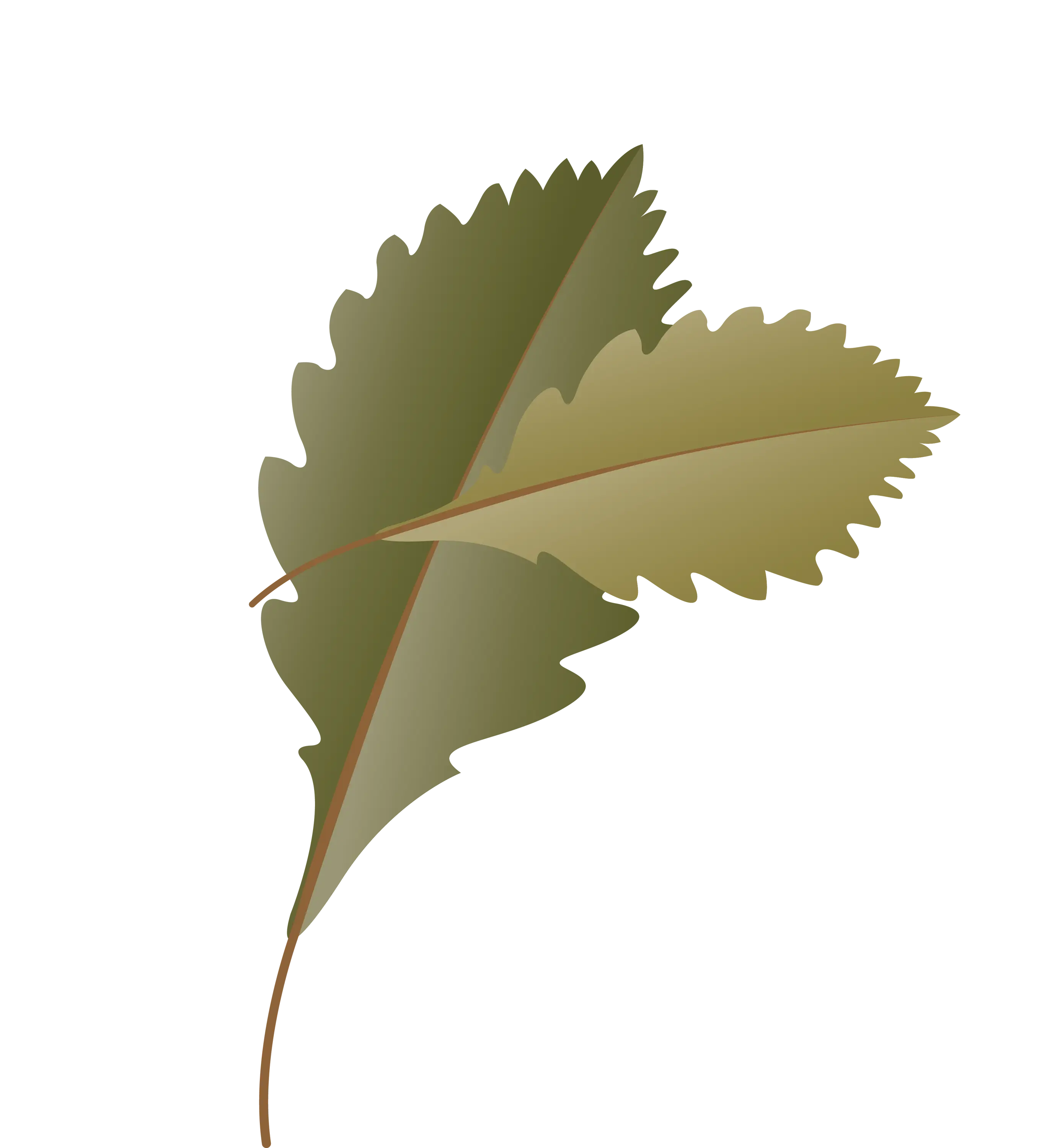 Green Leaf Illustration