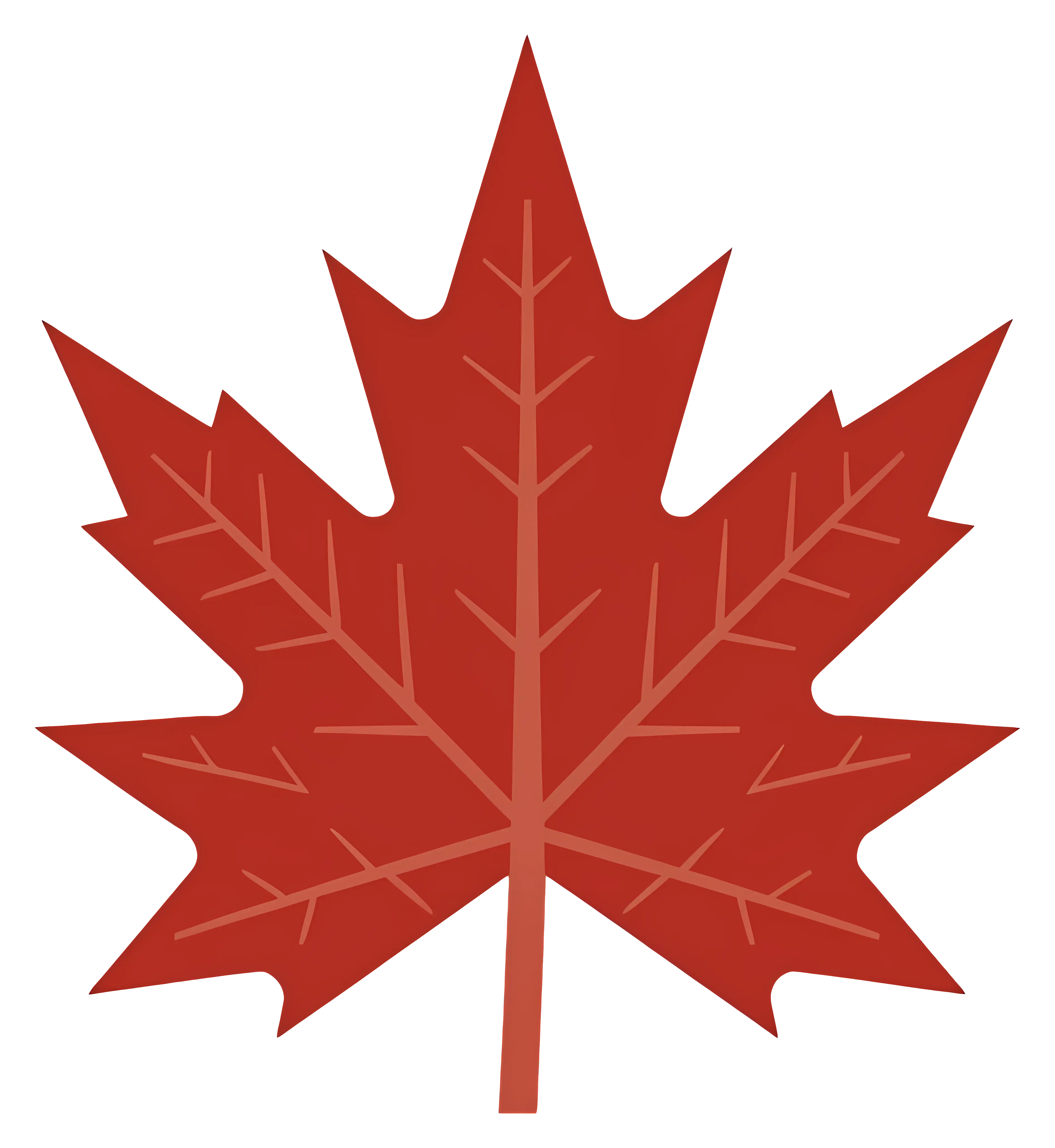 Detailed Red Maple Leaf Illustration