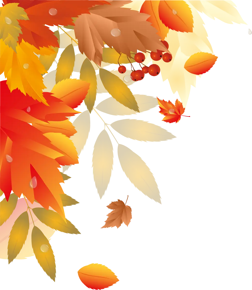 Colorful Autumn Leaves Illustration