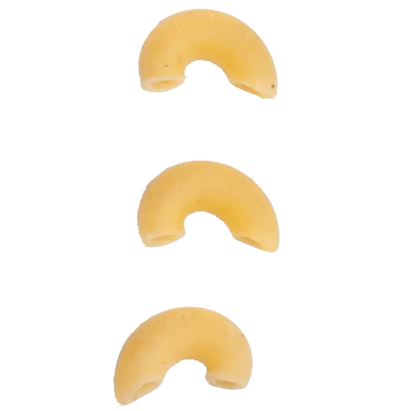 Macaroni Pasta Pieces