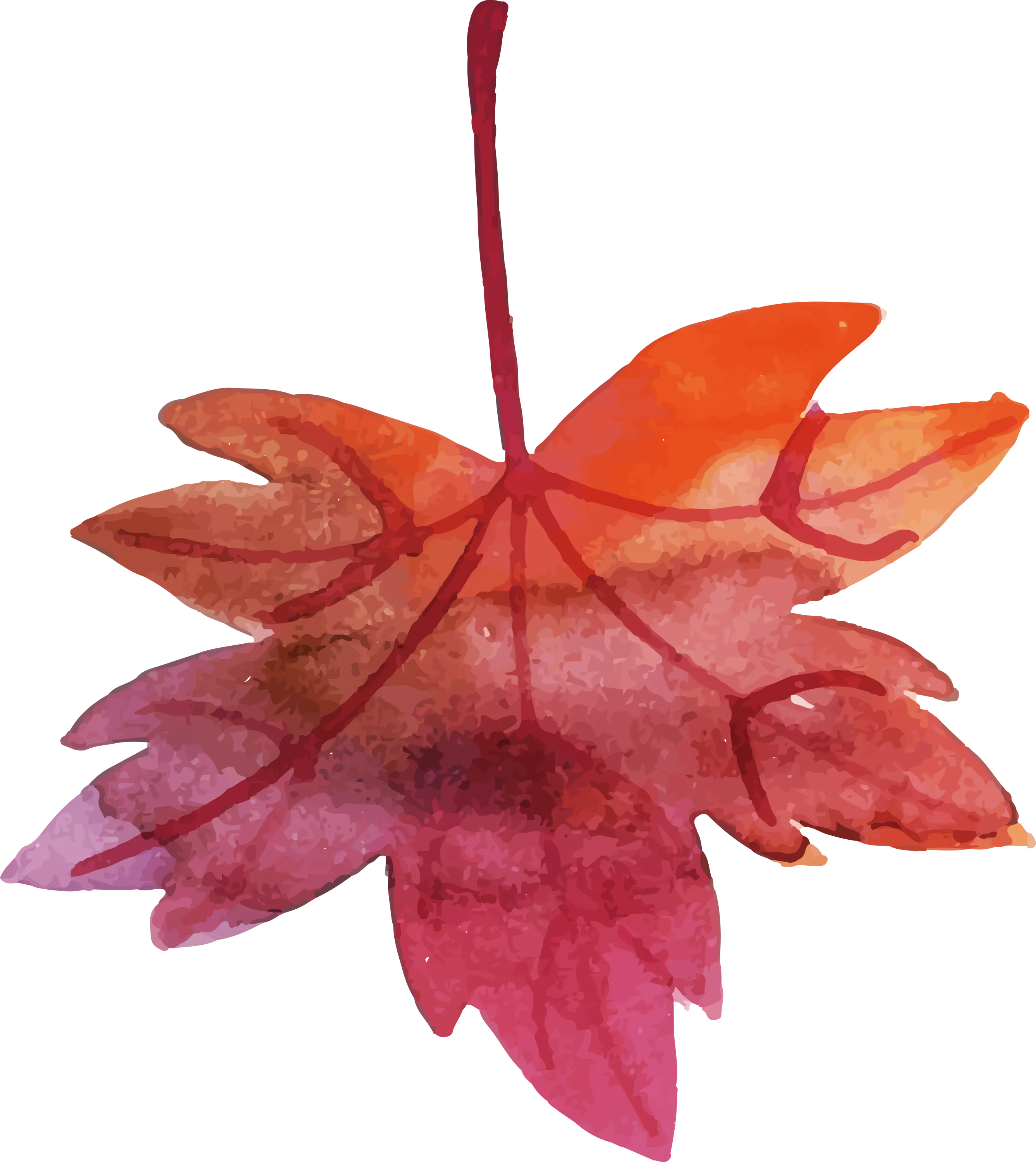 Watercolor Fall Maple Leaf Illustration