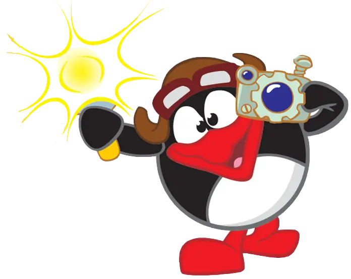 Cartoon Penguin with Camera