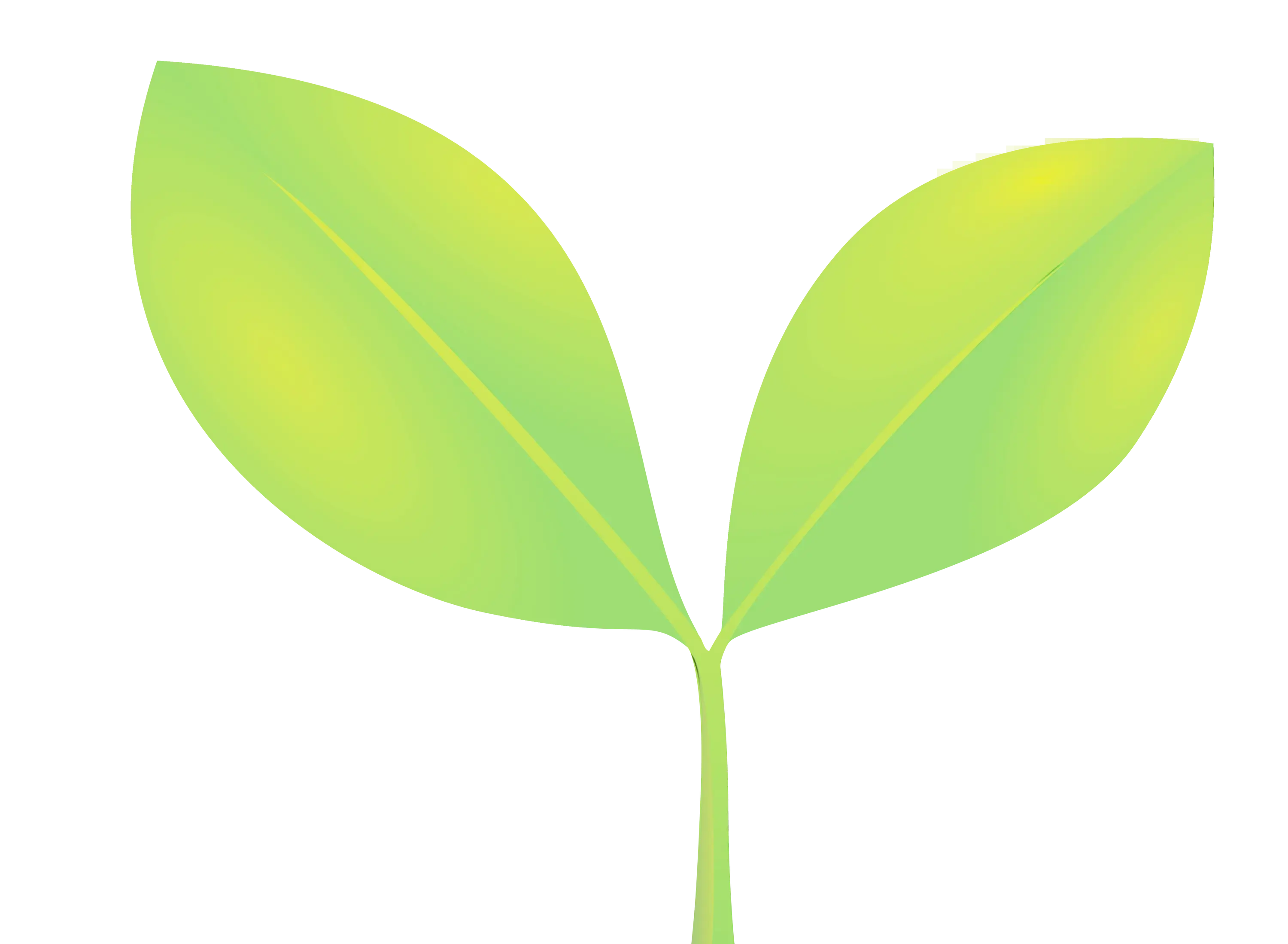 Bright Green Leaves Illustration