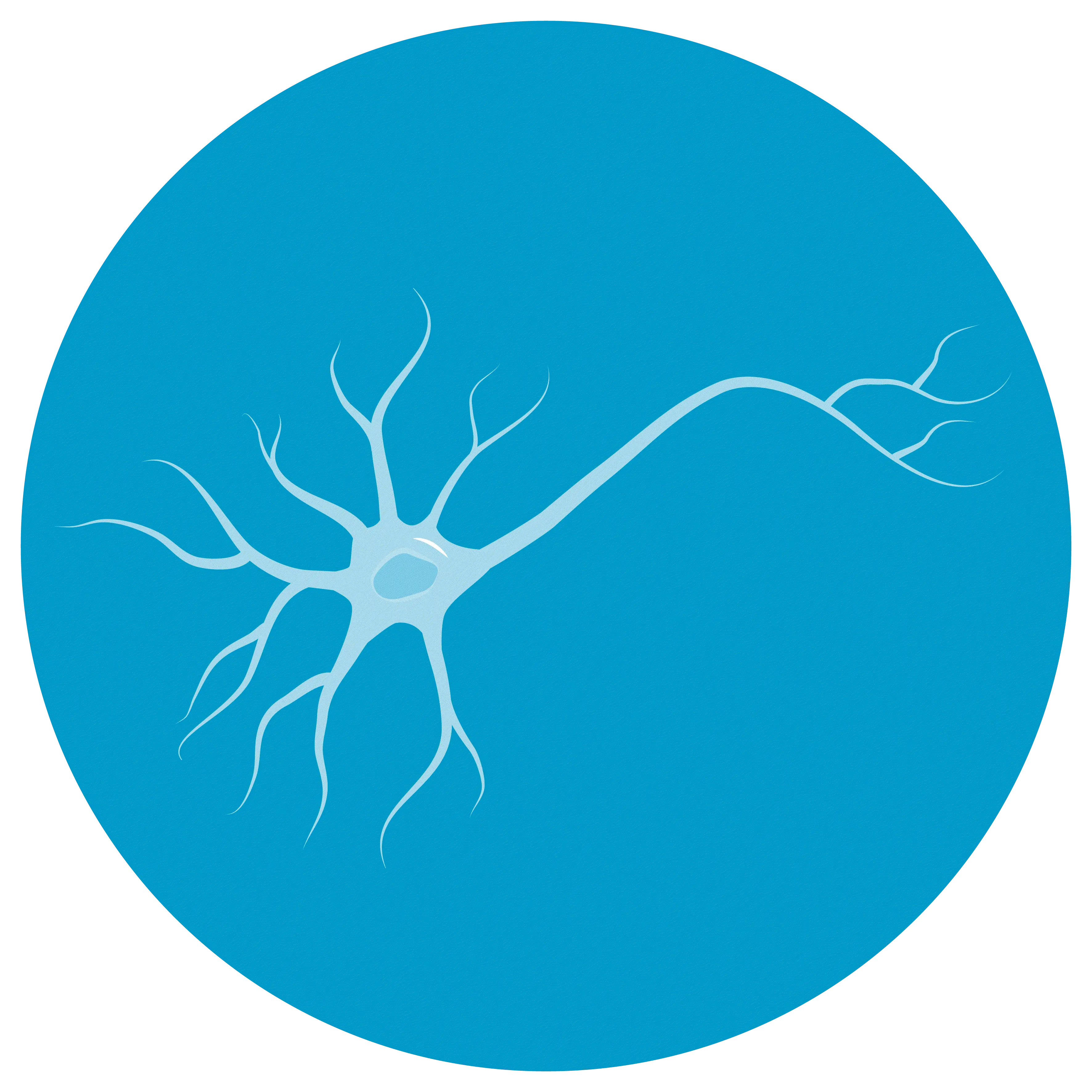 Biological Neuron Illustration
