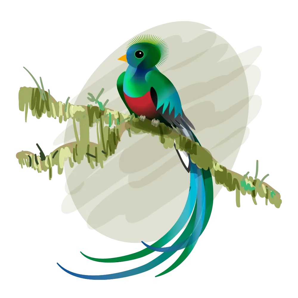 Colorful Bird on Branch