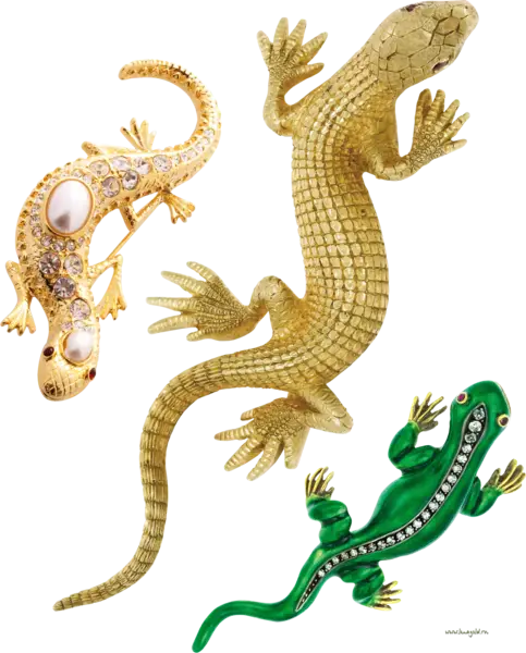 Stylish Lizard Brooches