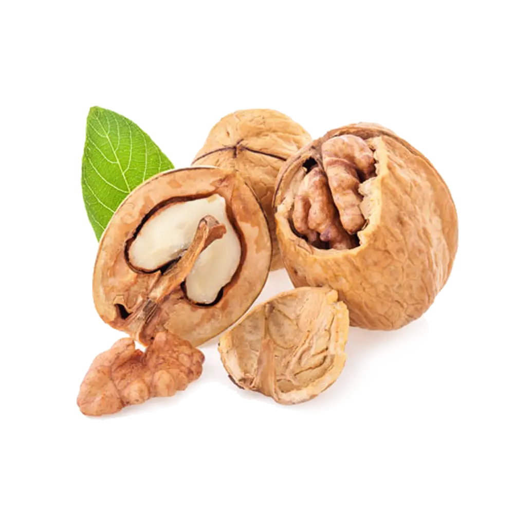 Fresh Walnuts with Shell