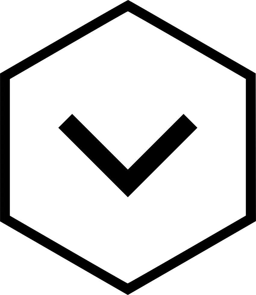 Black Check Mark in Hexagon