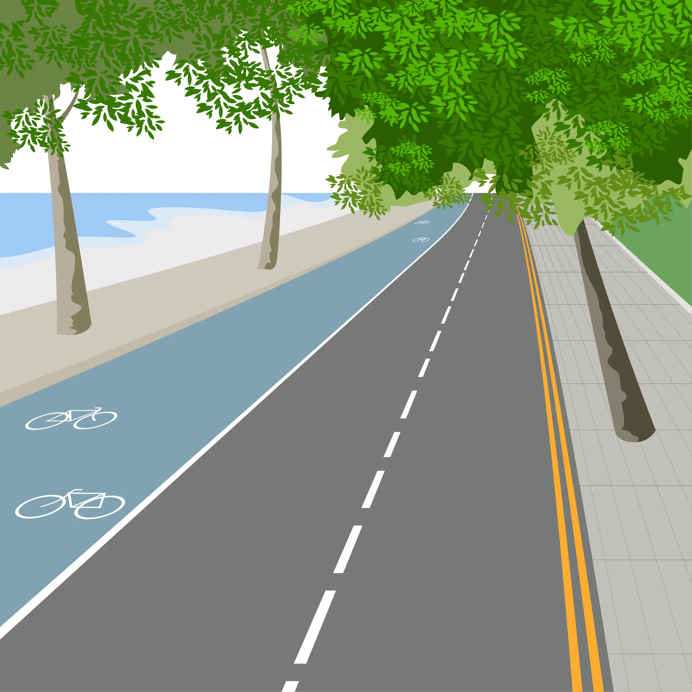 Scenic Road with Bicycle Lane and Trees