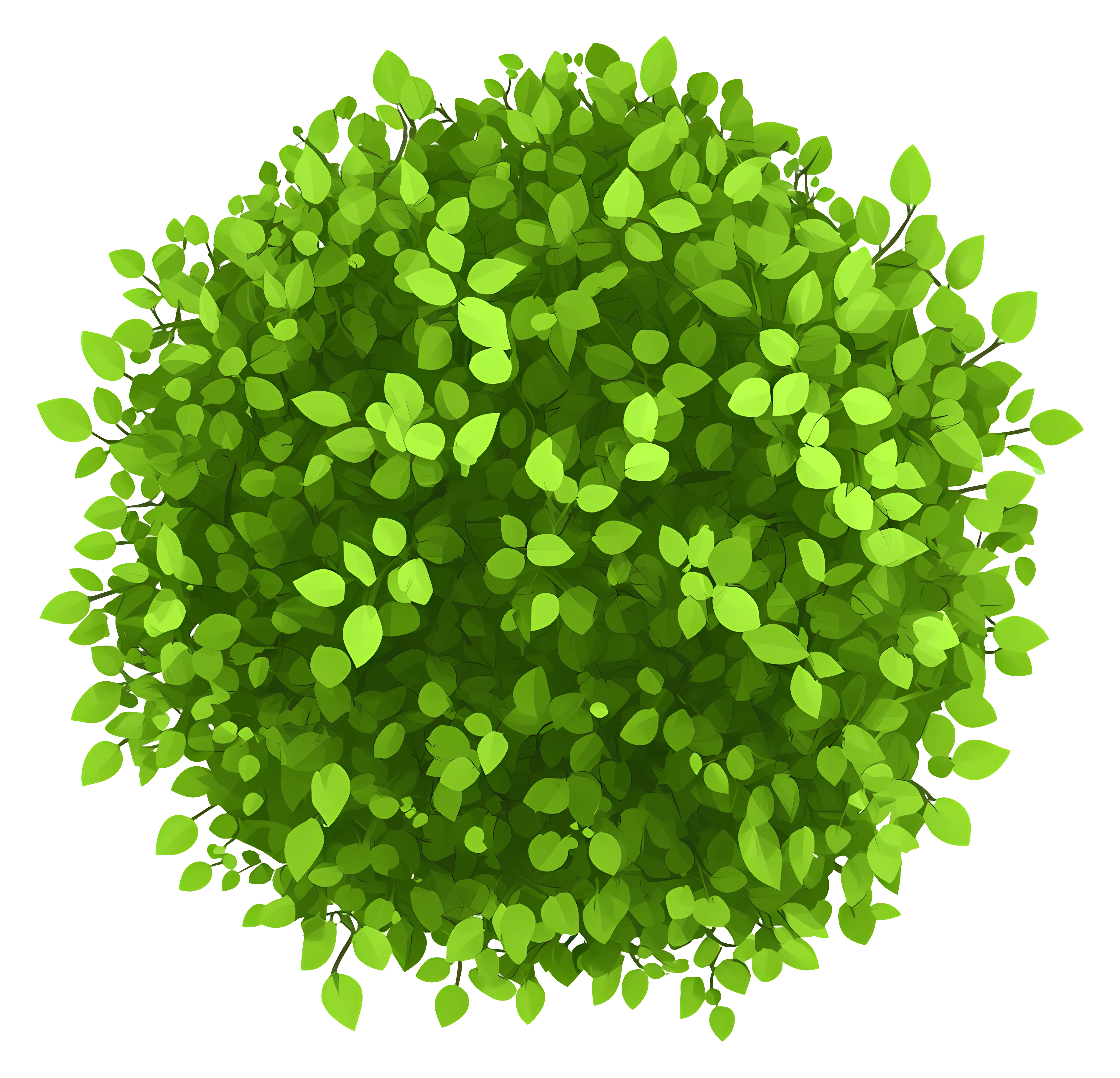 Lush Green Bush Illustration