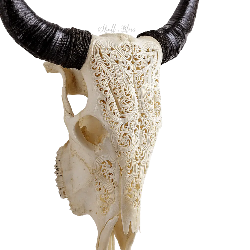 Engraved Skull with Horns Art Piece