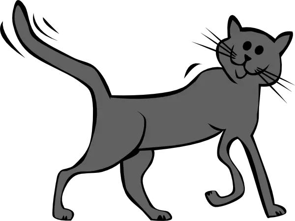 Gray Cat Illustration