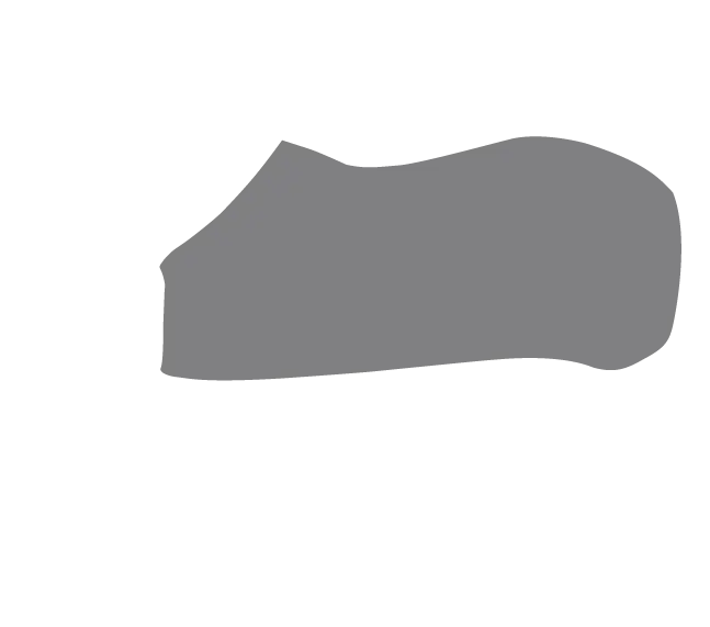 Abstract Gray Shape Illustration