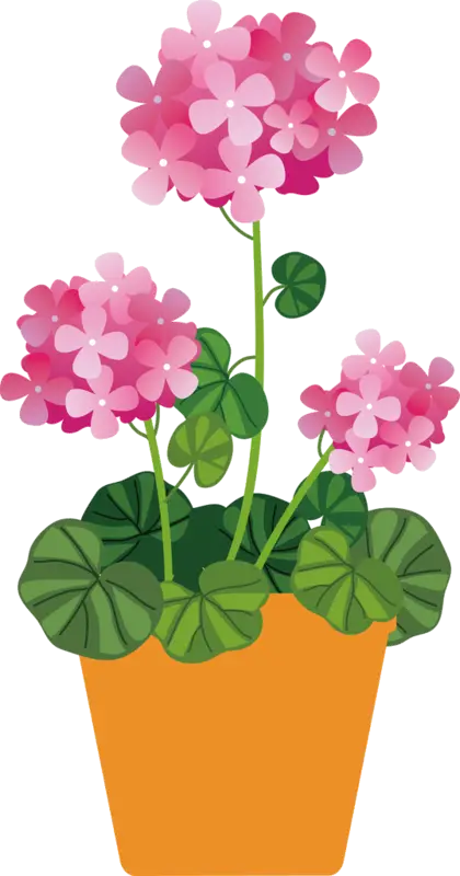 Potted Pink Flower Illustration