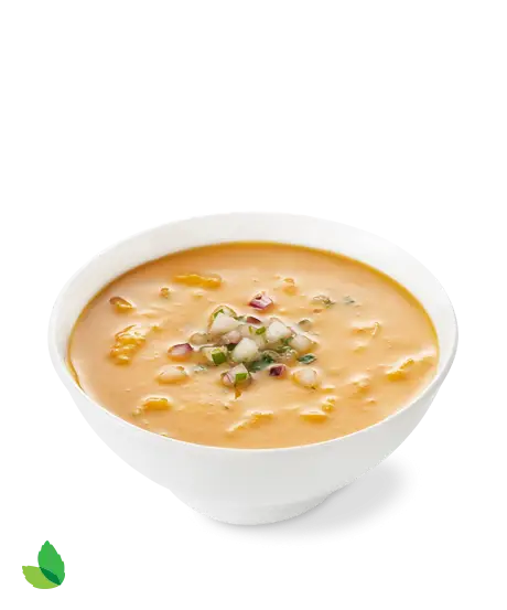 Creamy Soup in a White Bowl