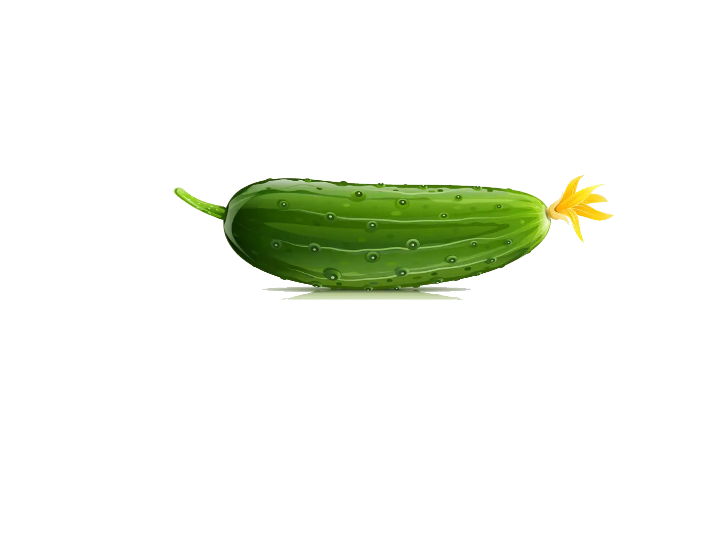 Fresh Green Cucumber with a Flower