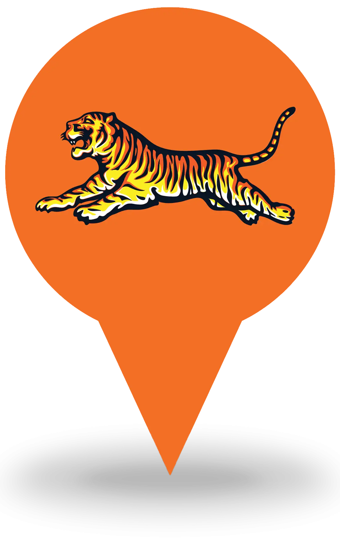 Leaping Tiger Illustration
