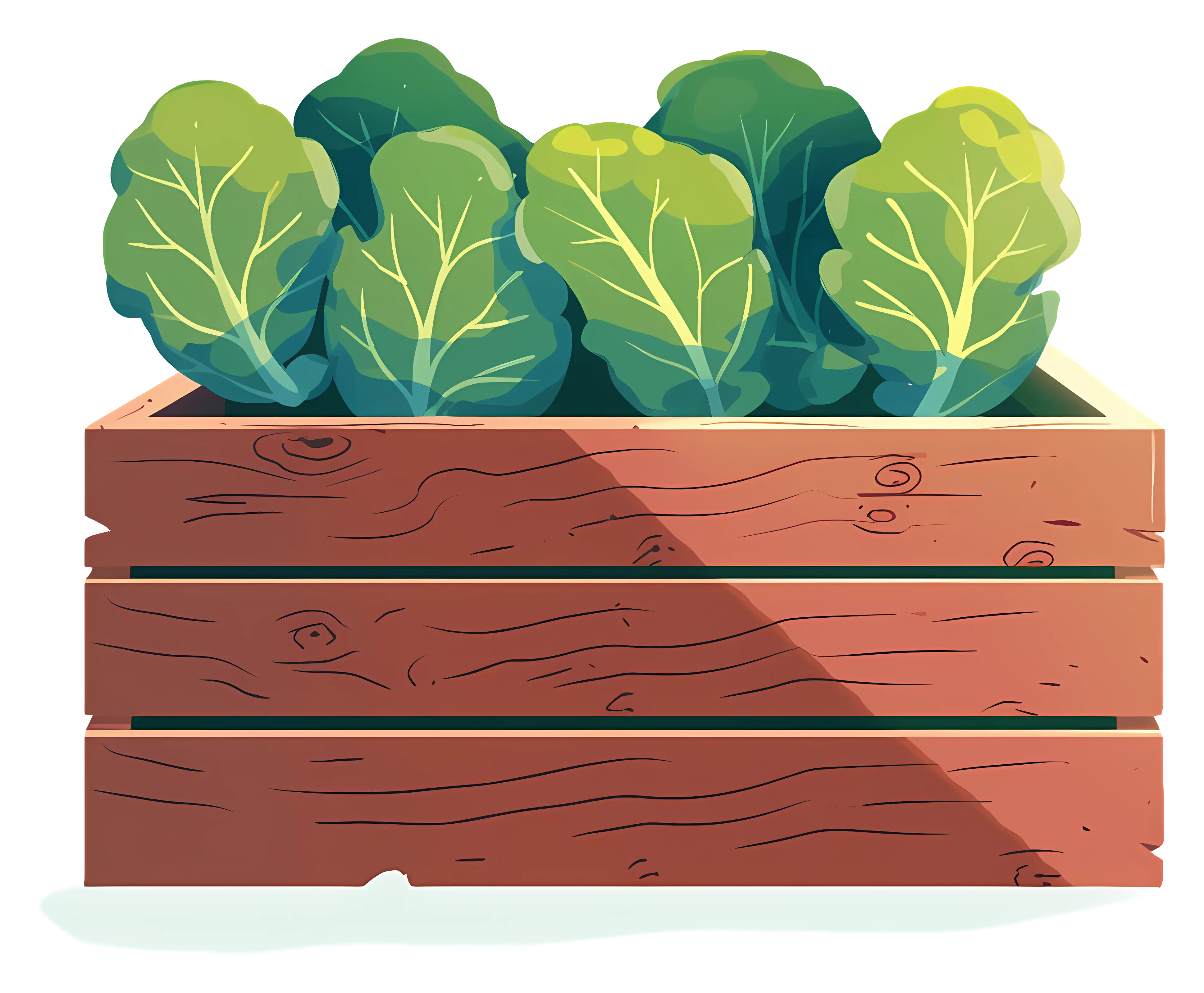 Wooden Box with Green Plants