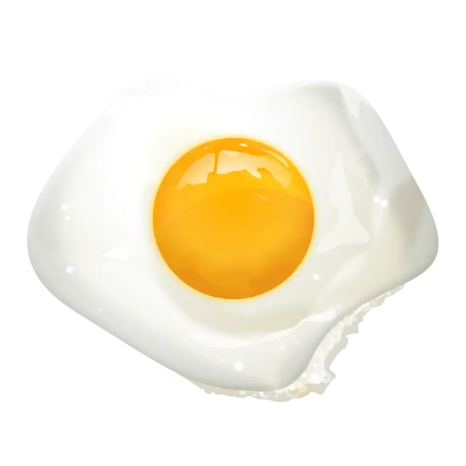 Illustration of a Fried Egg for Breakfast Concept