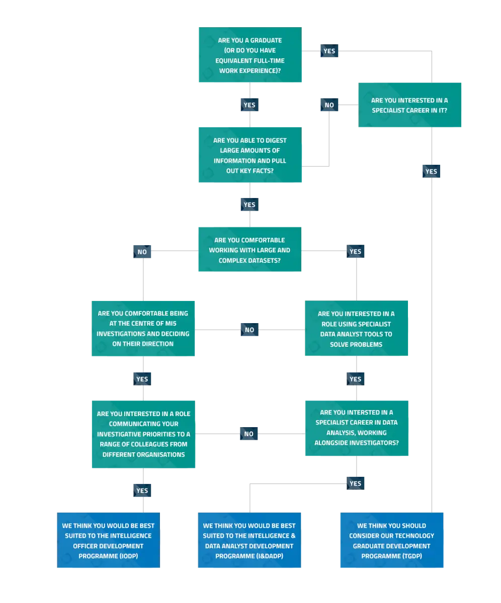 Career Path Decision Flowchart