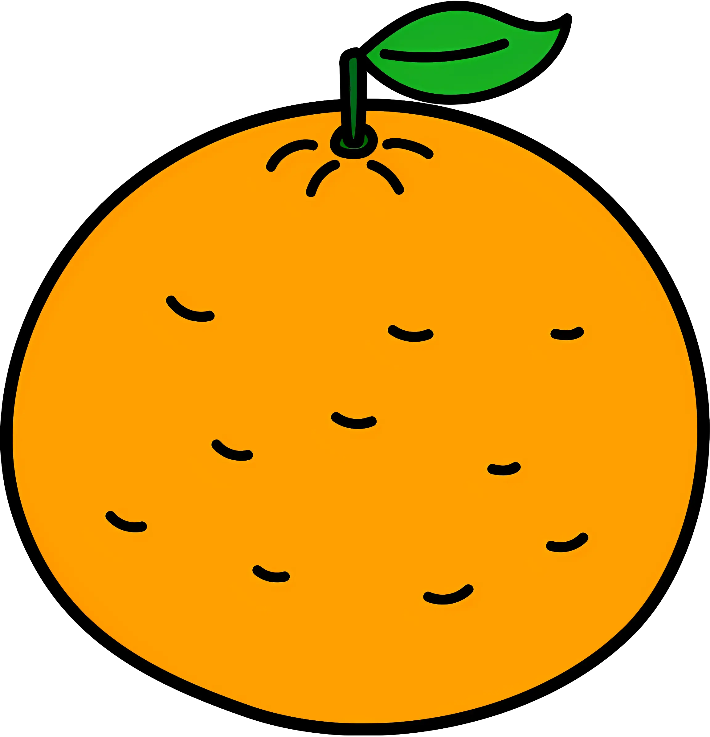 Simple Orange Fruit Illustration
