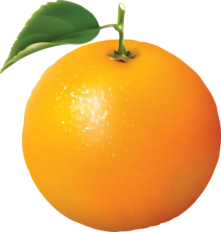Fresh Orange Fruit with Leaf Illustration