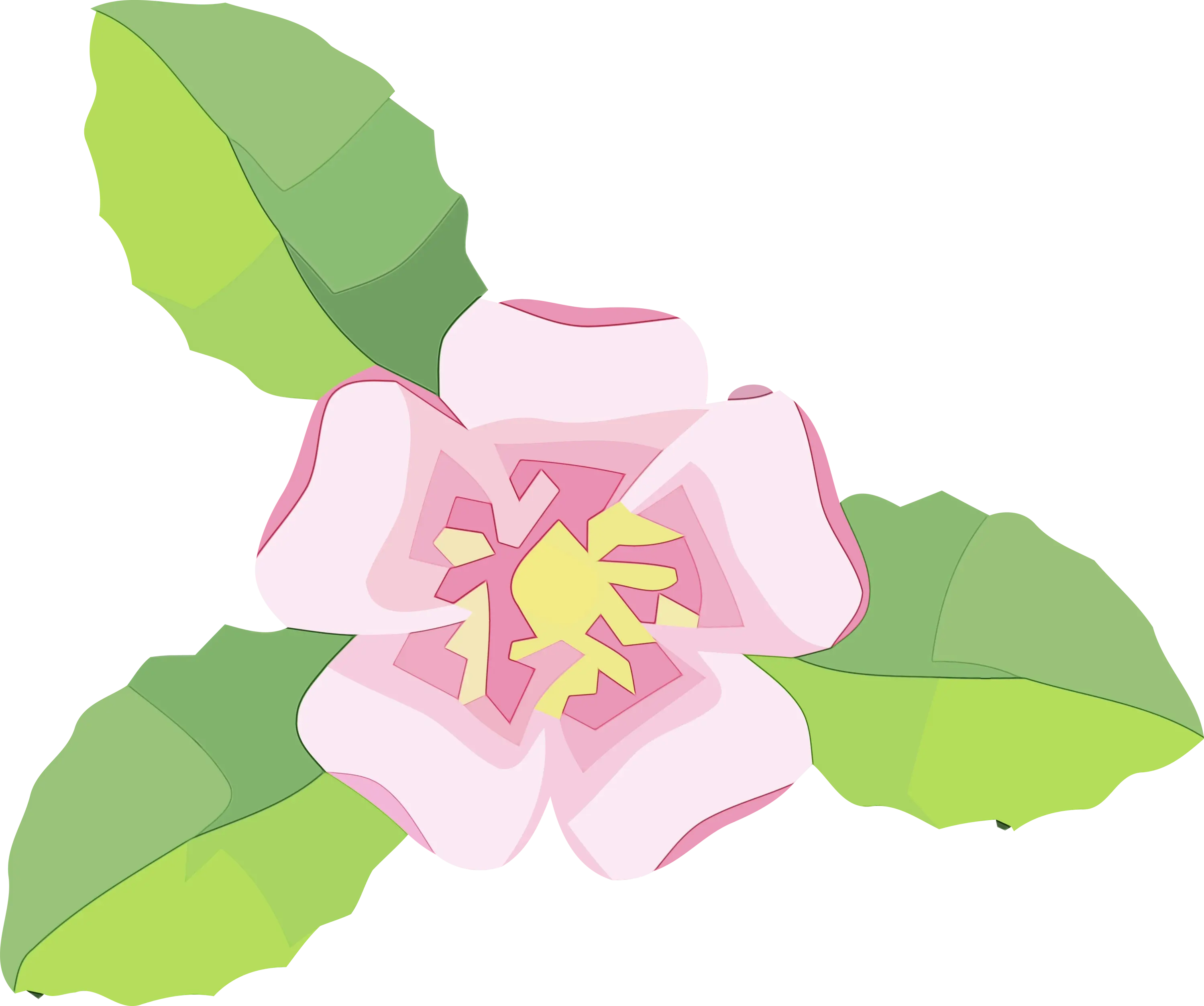 Pink Flower and Green Leaves Illustration
