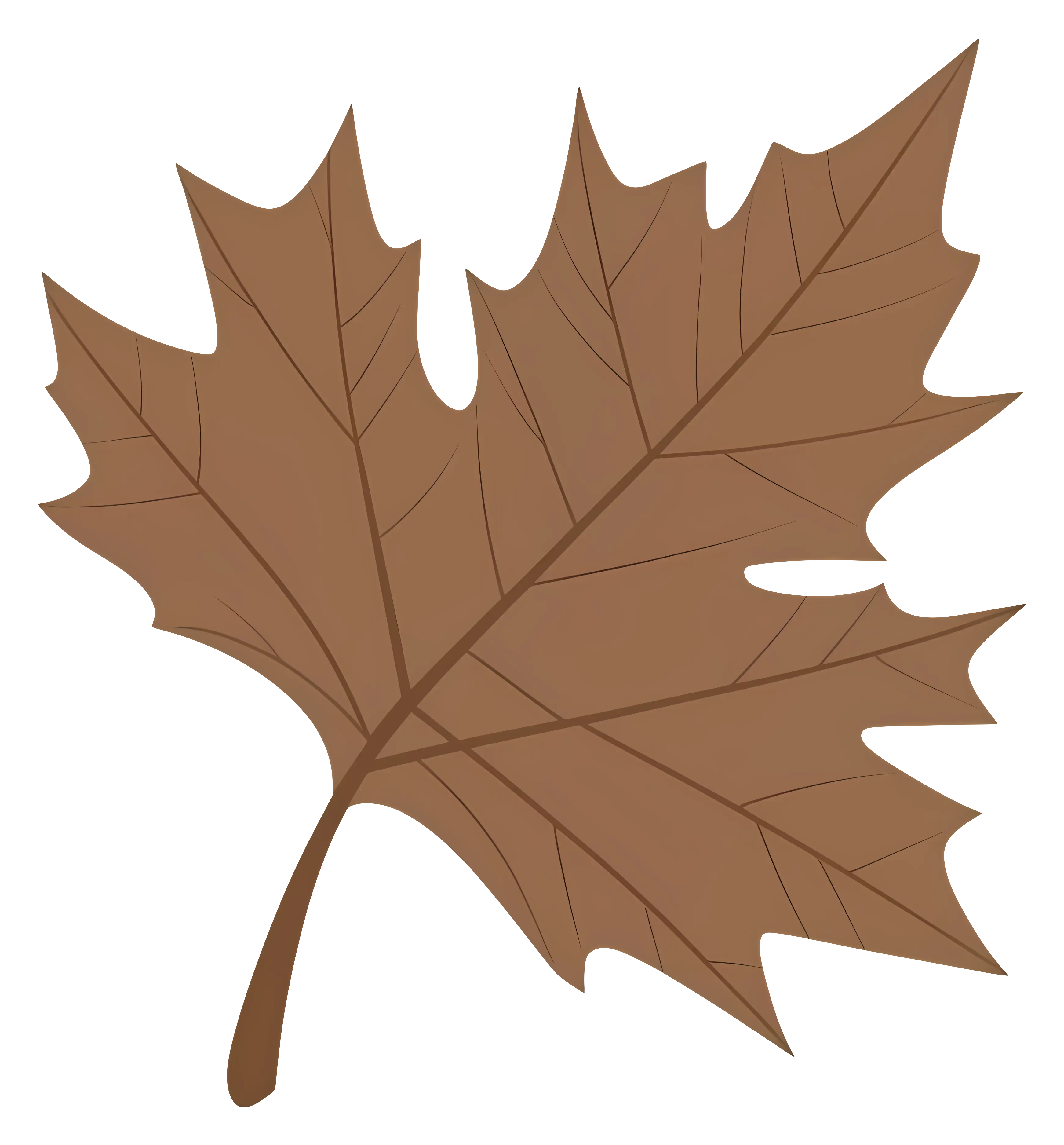 Brown Autumn Leaf Illustration