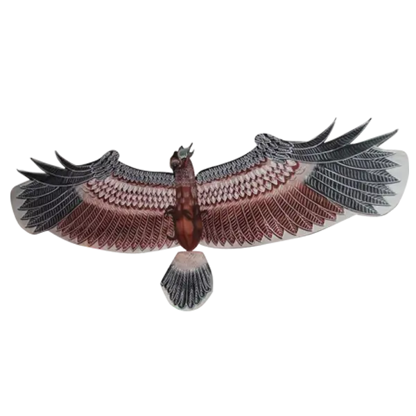 Soaring Eagle with Spread Wings