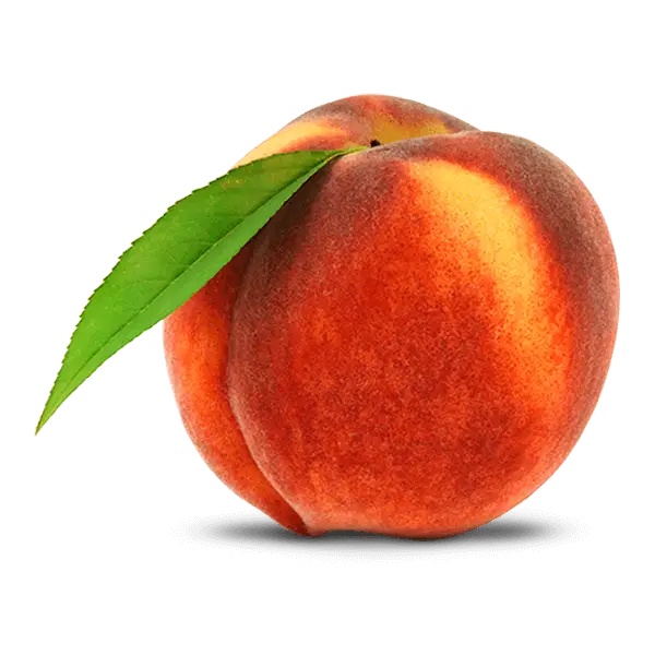 Single Peach with Green Leaf