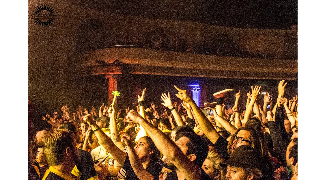 Energetic Concert Crowd