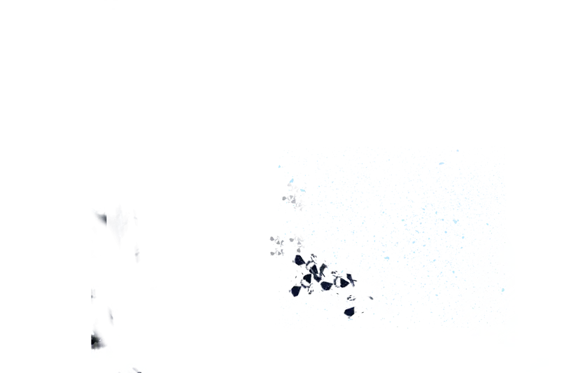 Abstract Black Ink Splatter Pattern