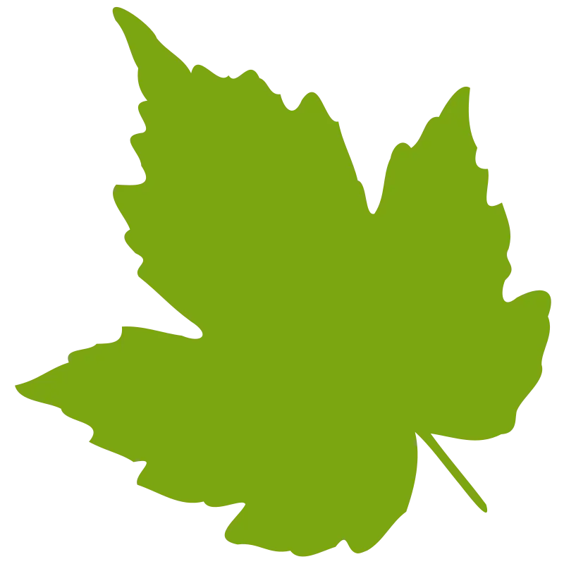 Green Leaf Silhouette Illustration