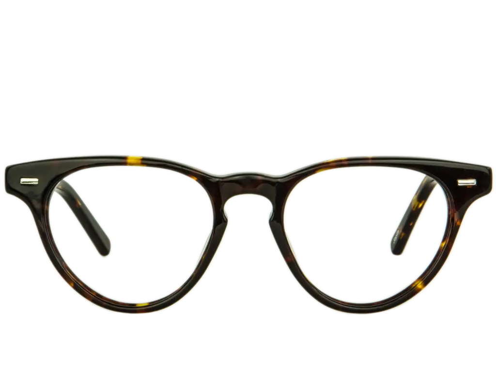 Brown Eyeglasses Frame with Tortoiseshell Design