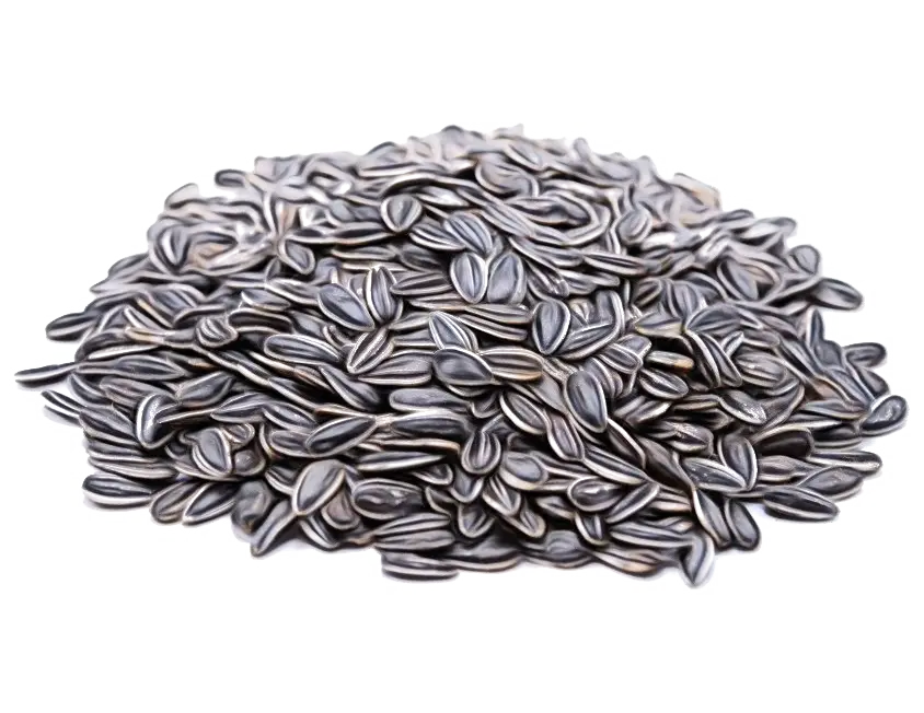 Pile of Sunflower Seeds