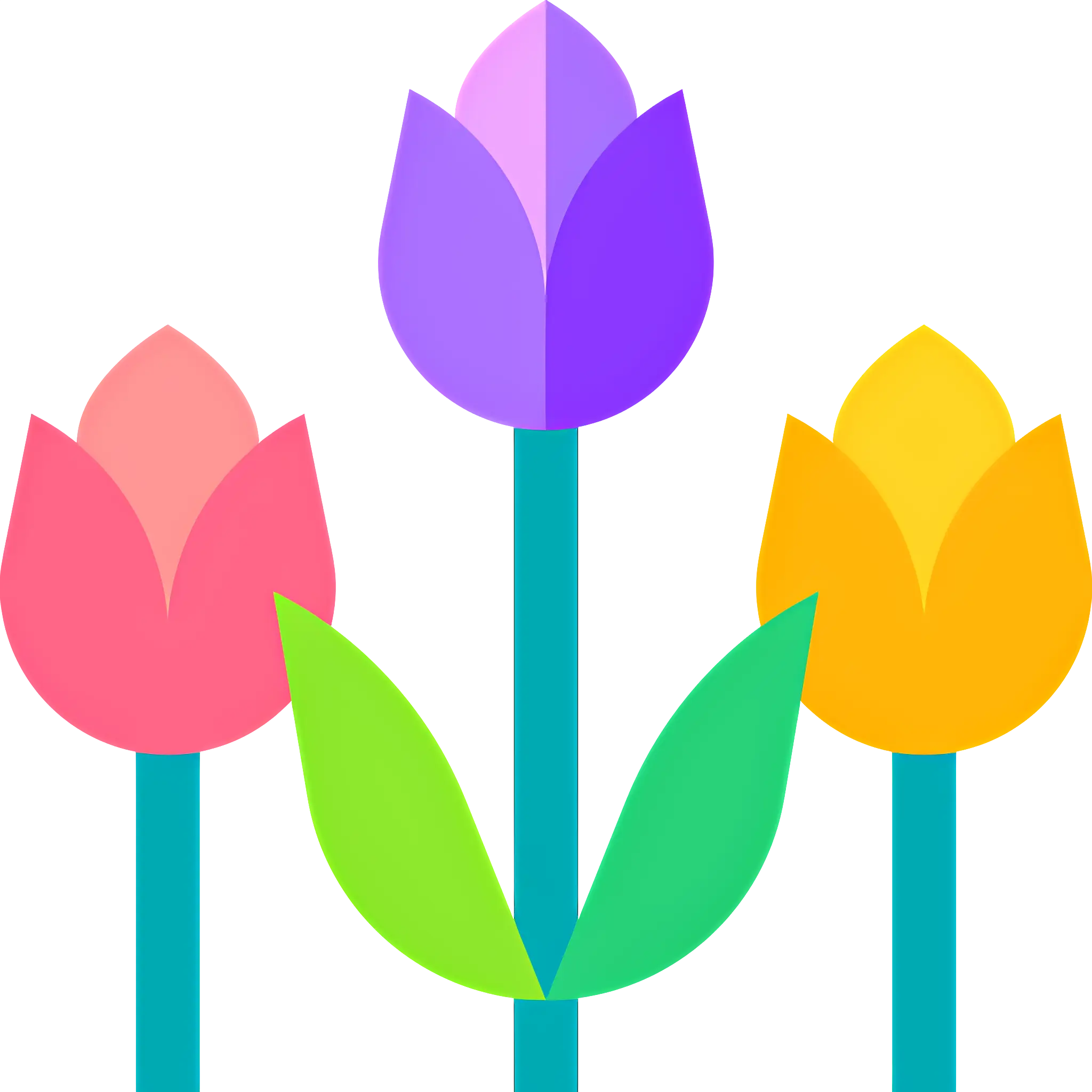 Colorful Tulips in Bloom