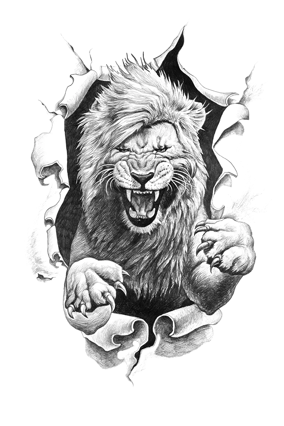 Roaring Lion Sketch